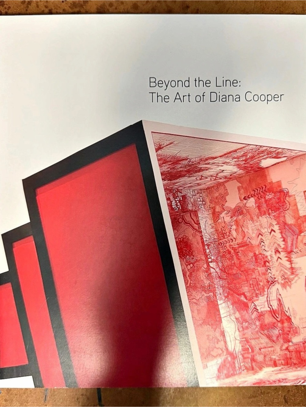 Museum of Contemporary Art, Cleveland Beyond the Line: The Art of Diana Cooper
